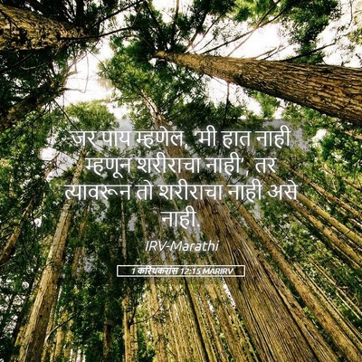 Picture 05 - 1 करिंथकरांस 12:15 MARIRV - जर पाय म्हणेल, ‘मी - Bible Verse Picture