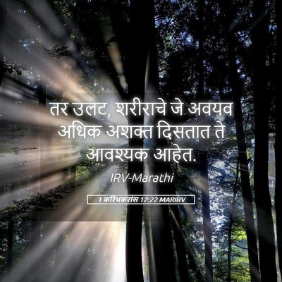 Picture 05 - 1 करिंथकरांस 12:22 MARIRV - तर उलट, शरीराचे जे - Bible Verse Picture