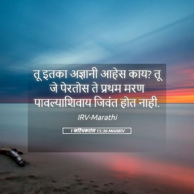 Picture 05 - 1 करिंथकरांस 15:36 MARIRV - तू इतका अज्ञानी - Bible Verse Picture