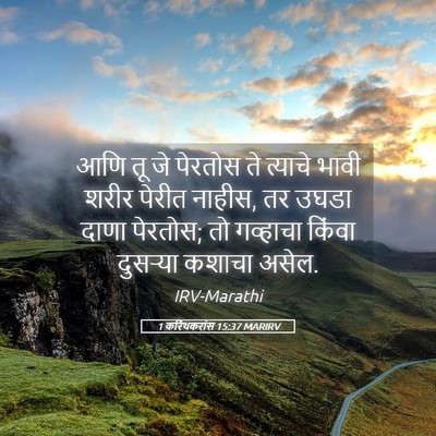 Picture 05 - 1 करिंथकरांस 15:37 MARIRV - आणि तू जे पेरतोस ते - Bible Verse Picture