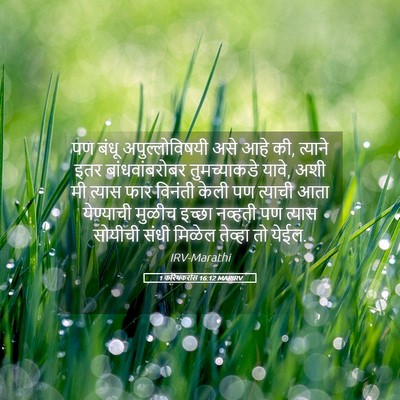 Picture 05 - 1 करिंथकरांस 16:12 MARIRV - पण बंधू - Bible Verse Picture