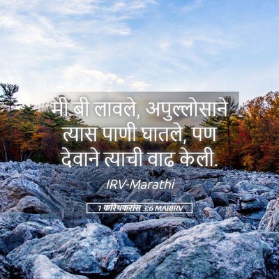 Picture 05 - 1 करिंथकरांस 3:6 MARIRV - मी बी लावले, - Bible Verse Picture