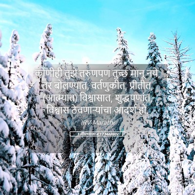 Picture 05 - 1 तीमथ्याला 4:12 MARIRV - कोणीही तुझे - Bible Verse Picture