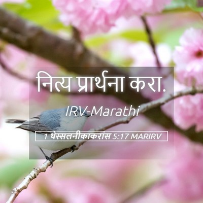 Picture 05 - 1 थेस्सलनीकाकरांस 5:17 MARIRV - नित्य प्रार्थना - Bible Verse Picture
