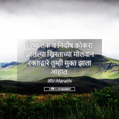 Picture 05 - 1 पेत्र 1:19 MARIRV - निष्कलंक व - Bible Verse Picture