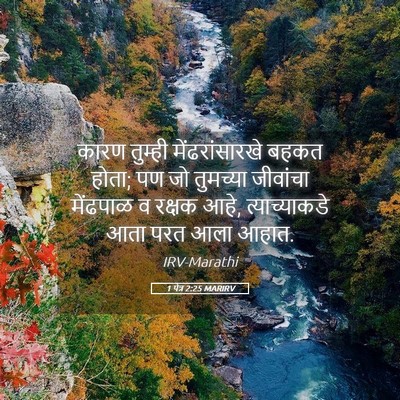 Picture 05 - 1 पेत्र 2:25 MARIRV - कारण तुम्ही - Bible Verse Picture