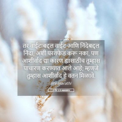 Picture 05 - 1 पेत्र 3:9 MARIRV - तर वाईटाबद्दल - Bible Verse Picture