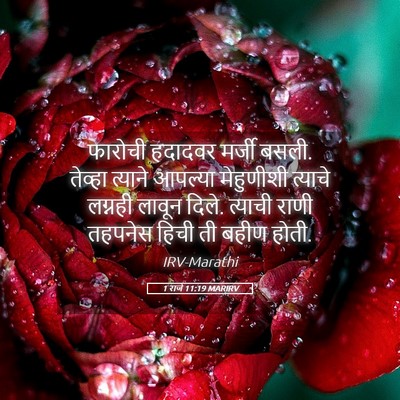 Picture 05 - 1 राजे 11:19 MARIRV - फारोची हदादवर - Bible Verse Picture