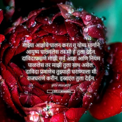 Picture 05 - 1 राजे 11:38 MARIRV - माझ्या आज्ञांचे - Bible Verse Picture