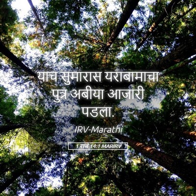 Picture 05 - 1 राजे 14:1 MARIRV - याच सुमारास - Bible Verse Picture