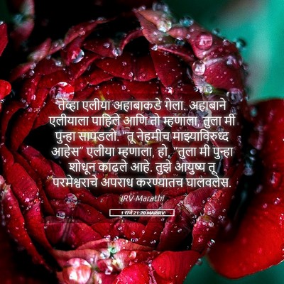 Picture 05 - 1 राजे 21:20 MARIRV - तेव्हा एलीया - Bible Verse Picture
