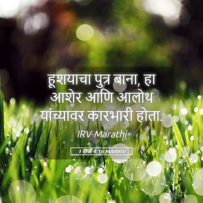 Picture 05 - 1 राजे 4:16 MARIRV - हूशयाचा पुत्र - Bible Verse Picture