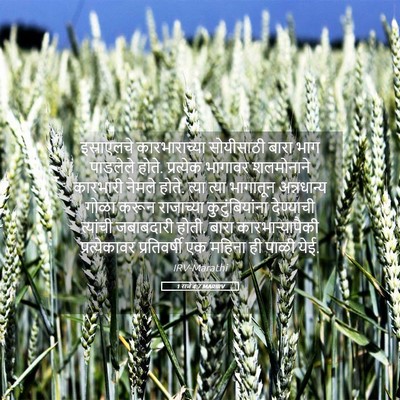 Picture 05 - 1 राजे 4:7 MARIRV - इस्राएलचे - Bible Verse Picture