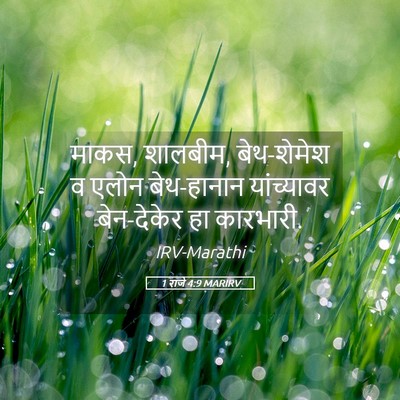 Picture 05 - 1 राजे 4:9 MARIRV - माकस, शालबीम, - Bible Verse Picture