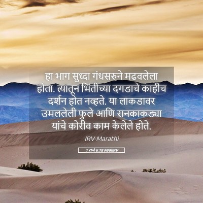 Picture 05 - 1 राजे 6:18 MARIRV - हा भाग सुध्दा - Bible Verse Picture