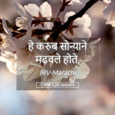 Picture 05 - 1 राजे 6:28 MARIRV - हे करुब सोन्याने - Bible Verse Picture