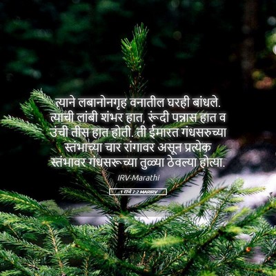 Picture 05 - 1 राजे 7:2 MARIRV - त्याने लबानोनगृह - Bible Verse Picture