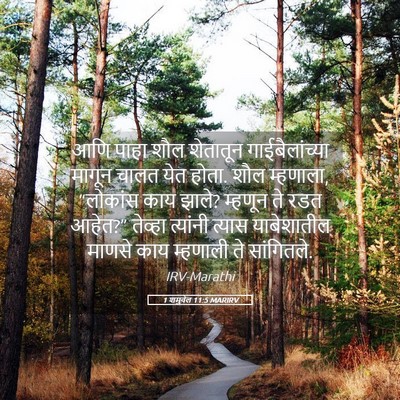 Picture 05 - 1 शमुवेल 11:5 MARIRV - आणि पाहा शौल - Bible Verse Picture