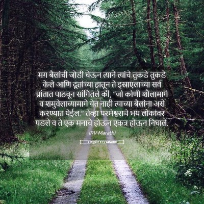 Picture 05 - 1 शमुवेल 11:7 MARIRV - मग बैलांची जोडी - Bible Verse Picture