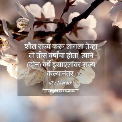 Picture 05 - 1 शमुवेल 13:1 MARIRV - शौल राज्य करू - Bible Verse Picture