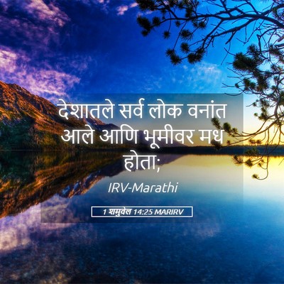 Picture 05 - 1 शमुवेल 14:25 MARIRV - देशातले सर्व लोक - Bible Verse Picture