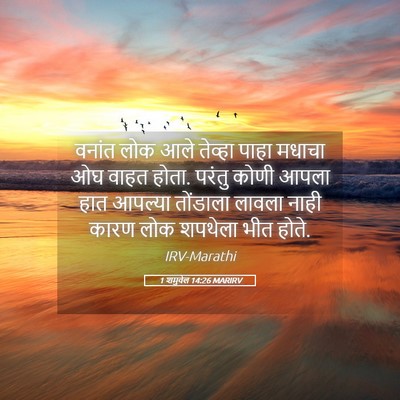 Picture 05 - 1 शमुवेल 14:26 MARIRV - वनांत लोक आले - Bible Verse Picture