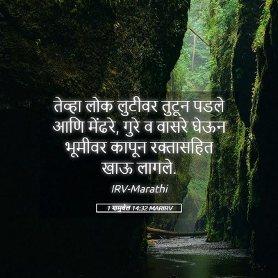 Picture 05 - 1 शमुवेल 14:32 MARIRV - तेव्हा लोक लुटीवर - Bible Verse Picture