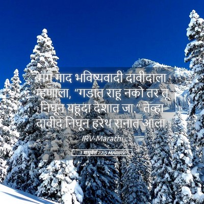 Picture 05 - 1 शमुवेल 22:5 MARIRV - मग गाद भविष्यवादी - Bible Verse Picture