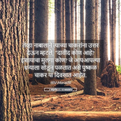 Picture 05 - 1 शमुवेल 25:10 MARIRV - तेव्हा नाबालाने - Bible Verse Picture