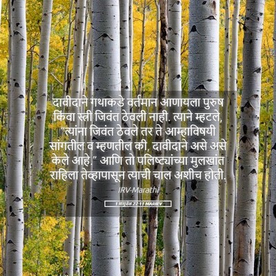 Picture 05 - 1 शमुवेल 27:11 MARIRV - दावीदाने गथाकडे - Bible Verse Picture