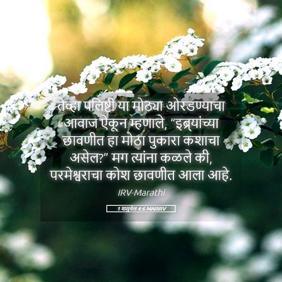 Picture 05 - 1 शमुवेल 4:6 MARIRV - तेव्हा पलिष्टी या - Bible Verse Picture
