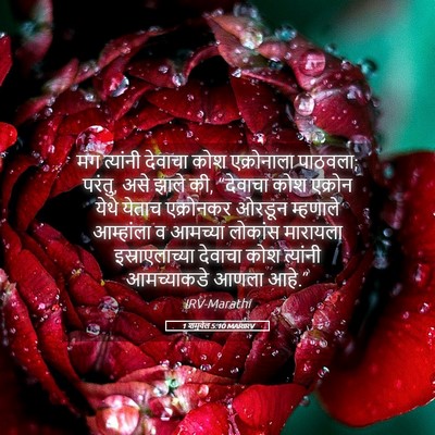 Picture 05 - 1 शमुवेल 5:10 MARIRV - मग त्यांनी देवाचा - Bible Verse Picture