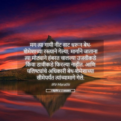 Picture 05 - 1 शमुवेल 6:12 MARIRV - मग त्या गायी नीट - Bible Verse Picture