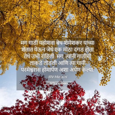Picture 05 - 1 शमुवेल 6:14 MARIRV - मग गाडी यहोशवा - Bible Verse Picture