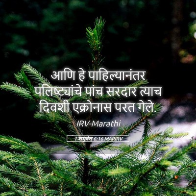 Picture 05 - 1 शमुवेल 6:16 MARIRV - आणि हे - Bible Verse Picture