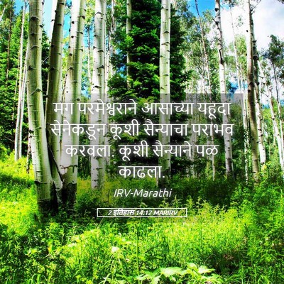 Picture 05 - 2 इतिहास 14:12 MARIRV - मग परमेश्वराने - Bible Verse Picture