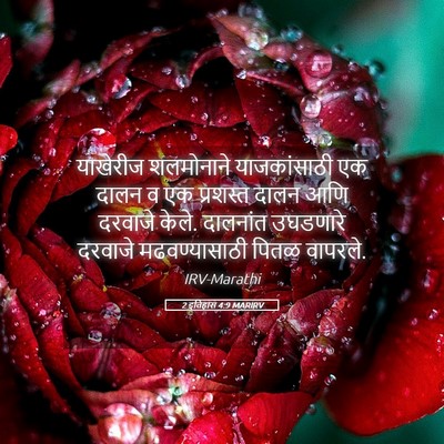 Picture 05 - 2 इतिहास 4:9 MARIRV - याखेरीज शलमोनाने - Bible Verse Picture
