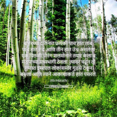 Picture 05 - 2 इतिहास 6:13 MARIRV - बाहेरच्या दालनात - Bible Verse Picture