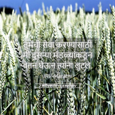 Picture 05 - 2 करिंथकरांस 11:8 MARIRV - तुमची सेवा - Bible Verse Picture