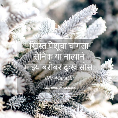 Picture 05 - 2 तीमथ्याला 2:3 MARIRV - ख्रिस्त येशूचा - Bible Verse Picture