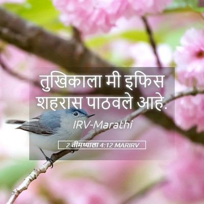 Picture 05 - 2 तीमथ्याला 4:12 MARIRV - तुखिकाला मी इफिस - Bible Verse Picture