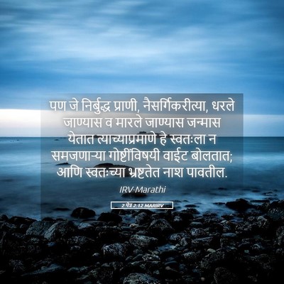 Picture 05 - 2 पेत्र 2:12 MARIRV - पण जे निर्बुद्ध - Bible Verse Picture