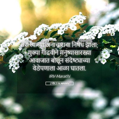 Picture 05 - 2 पेत्र 2:16 MARIRV - तरी त्याच्या - Bible Verse Picture