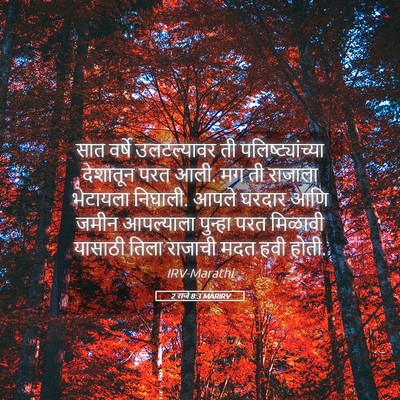 Picture 05 - 2 राजे 8:3 MARIRV - सात वर्षे - Bible Verse Picture