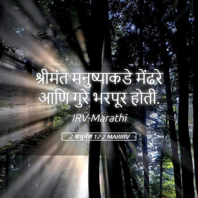 Picture 05 - 2 शमुवेल 12:2 MARIRV - श्रीमंत - Bible Verse Picture