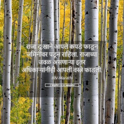 Picture 05 - 2 शमुवेल 13:31 MARIRV - राजा दु:खाने आपले - Bible Verse Picture
