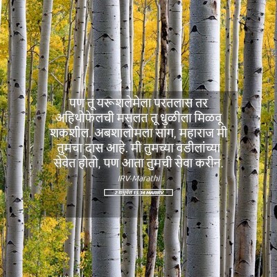 Picture 05 - 2 शमुवेल 15:34 MARIRV - पण तू यरूशलेमेला - Bible Verse Picture