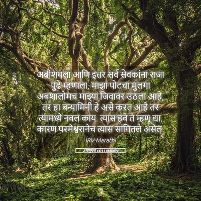 Picture 05 - 2 शमुवेल 16:11 MARIRV - अबीशयला आणि इतर - Bible Verse Picture