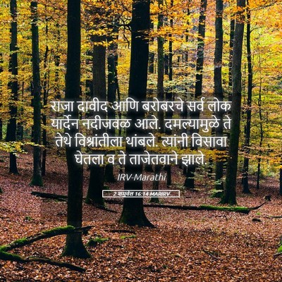 Picture 05 - 2 शमुवेल 16:14 MARIRV - राजा दावीद आणि - Bible Verse Picture