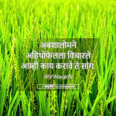 Picture 05 - 2 शमुवेल 16:20 MARIRV - अबशालोमने - Bible Verse Picture